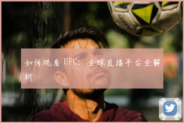 如何观看 UFC：全球直播平台全解析